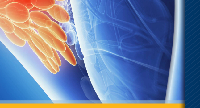 搜狗高速浏览器截图20251027162009.png 搜狗高速浏览器截图20251027162009.png