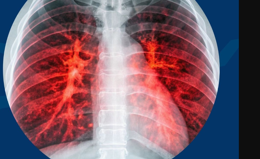 搜狗高速浏览器截图20251205152619.png 搜狗高速浏览器截图20251205152619.png