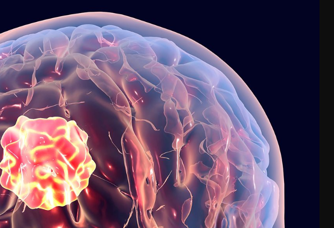 搜狗高速浏览器截图20251202162246.png 搜狗高速浏览器截图20251202162246.png