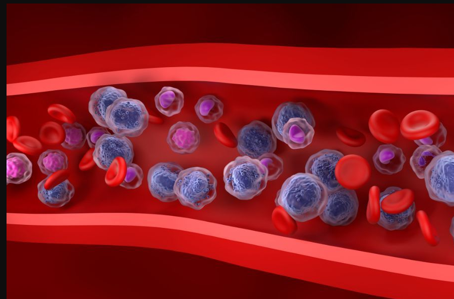 搜狗高速浏览器截图20251212151526.png 搜狗高速浏览器截图20251212151526.png