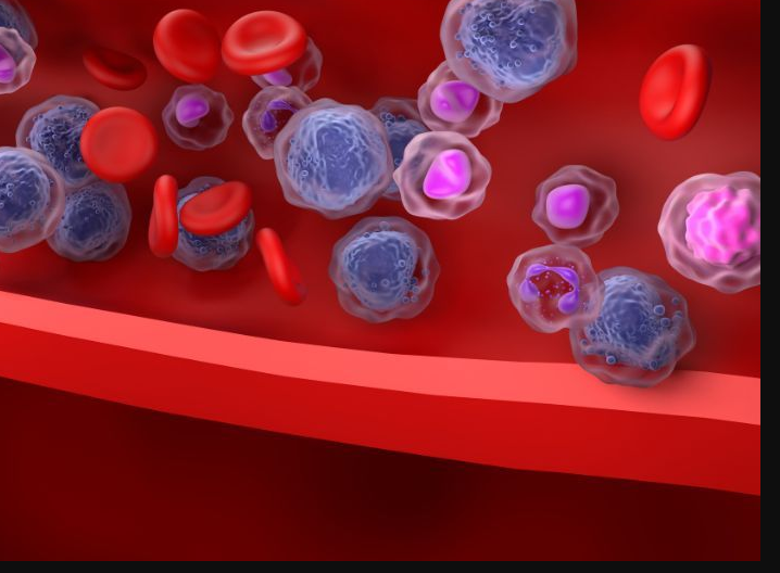 搜狗高速浏览器截图20251212151553.png 搜狗高速浏览器截图20251212151553.png