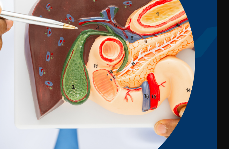 搜狗高速浏览器截图20251201163437.png 搜狗高速浏览器截图20251201163437.png