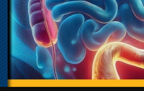 搜狗高速浏览器截图20251125124614.png 搜狗高速浏览器截图20251125124614.png