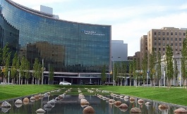 去美国看病 局部晚期能否得到生存改善