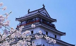 海外治疗 多剂量给药的安全性如何