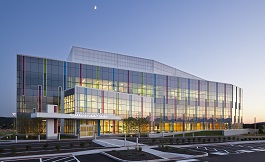 移植物的选择和重建上存在哪些不同