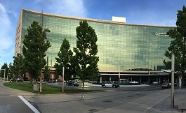 传导系统中信号分子会产生异常激活