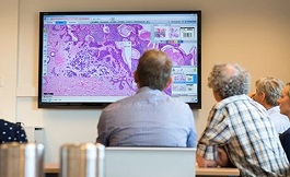 病理会诊 美国病理会诊