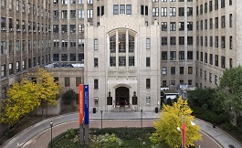 美国治疗 子宫导管大多采用哪类材质？