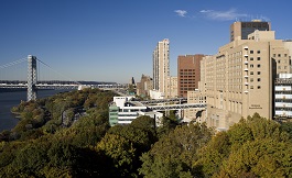 美国治疗 克林霉素是否具有抗菌活性？