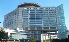 肿瘤浸润淋巴细胞（TIL）疗法