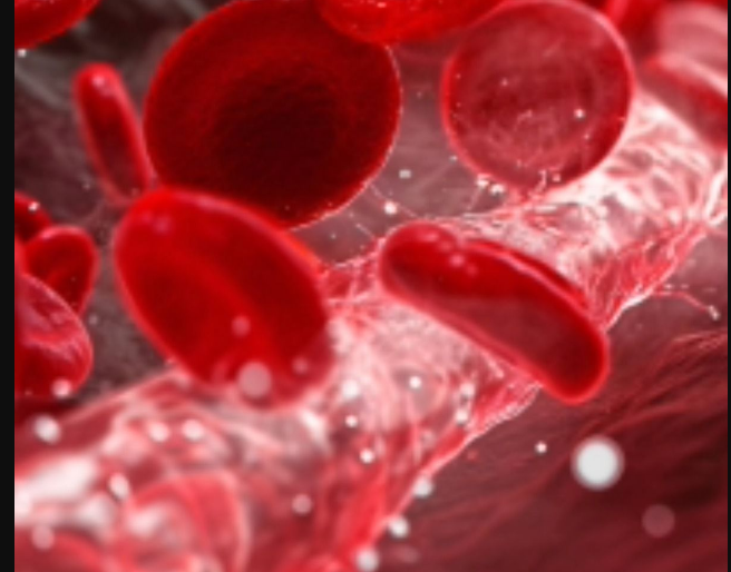 搜狗高速浏览器截图20251230235819.png 搜狗高速浏览器截图20251230235819.png