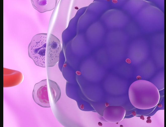 搜狗高速浏览器截图20260327174619.png 搜狗高速浏览器截图20260327174619.png